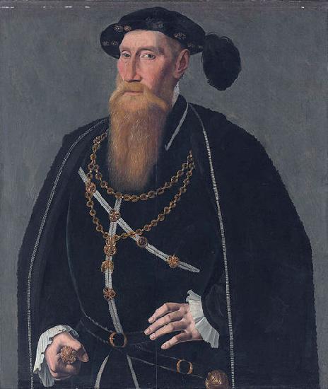 Jan van Scorel Portrait of Reinoud III van Brederode oil painting image